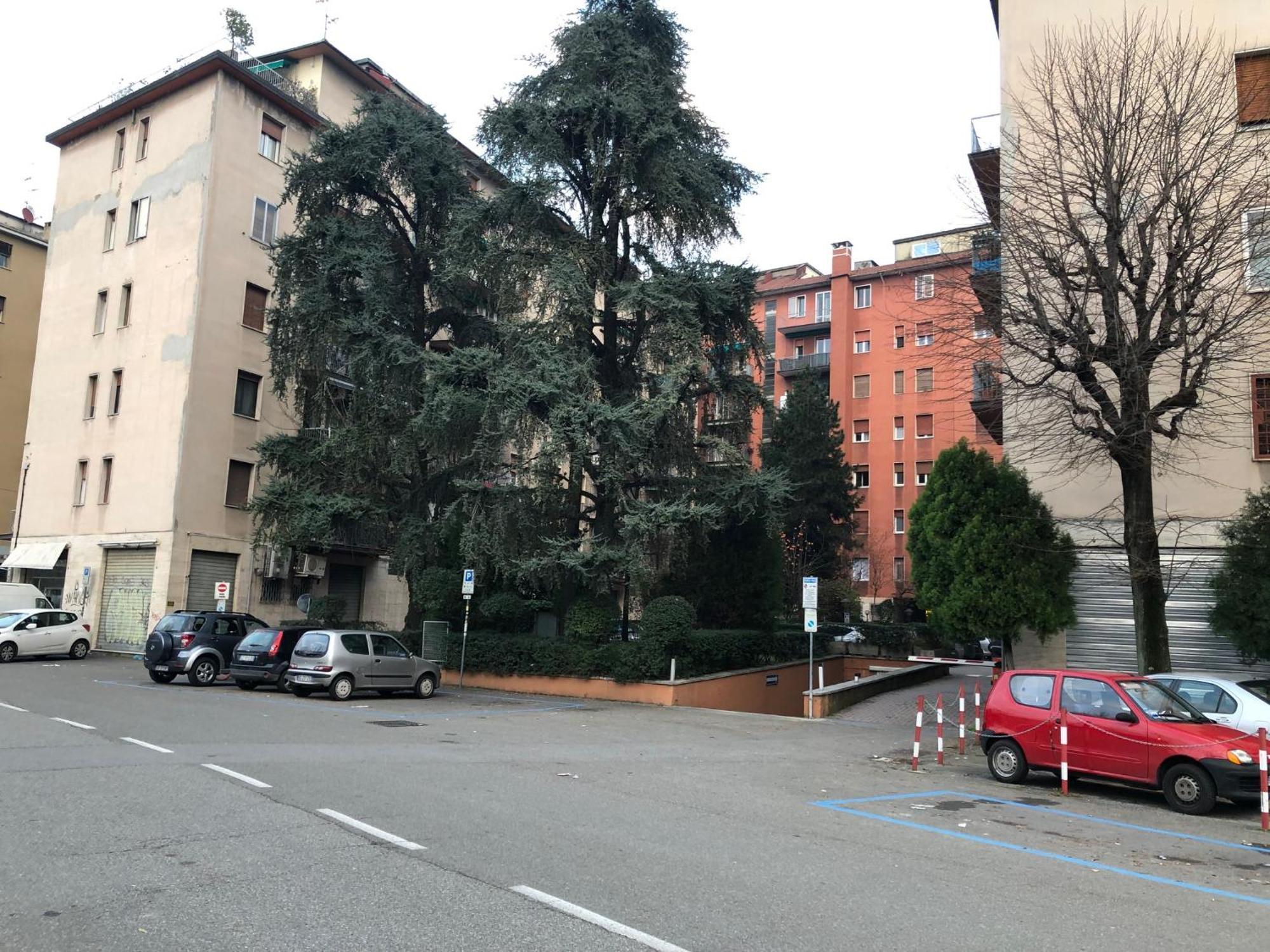 Tra Le Torri B&B - Ampia Stanza Privata In Appartamento Con Bagno Privato Accessibile Da Corridoio Bologna Bagian luar foto